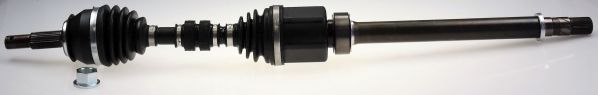 Planetara SPIDAN GKN Automotive OE-Technology 52° 36155