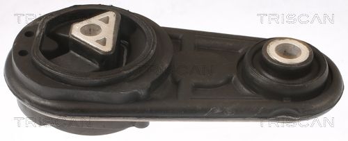 Łożyskowanie silnika TRISCAN 8505 25106