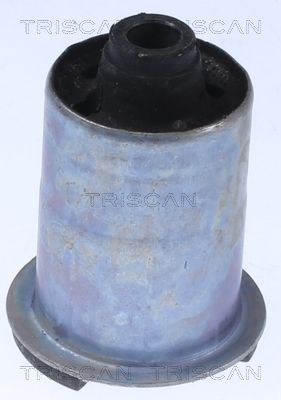 Łożyskowanie, korpus osi TRISCAN 8500 25875