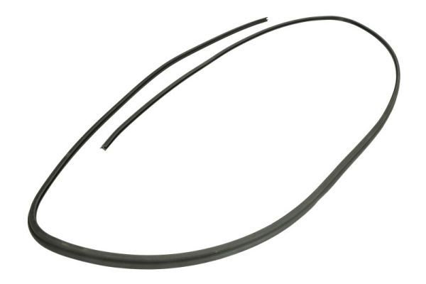 Elemente decorative/protectie, parbriz BLIC 5703-04-6037406Q