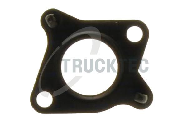 Blīve, Izplūdes gāzu recirkulācijas vārsts