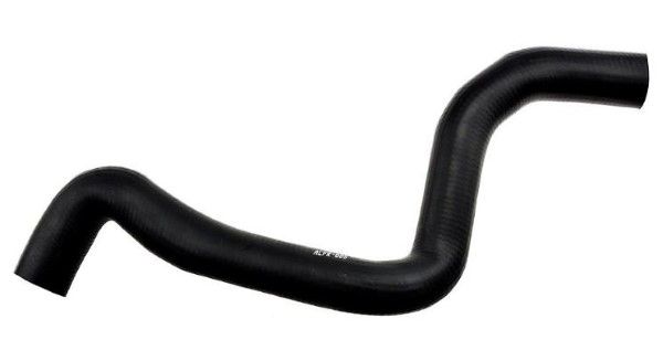 Furtun radiator MTR 12220784