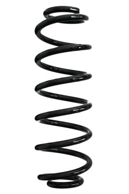 Arc spiral SPIDAN 88113