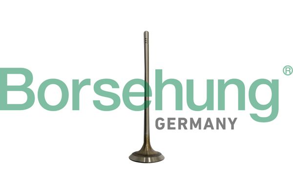 Zawór dolotowy BORSEHUNG B10332