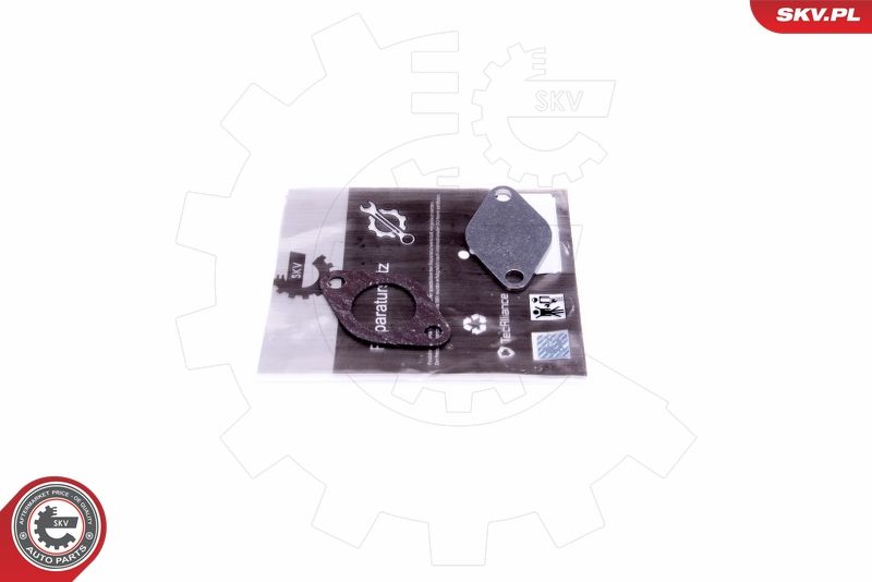Set de reparație, supapă AGR ESEN SKV 14SKV542