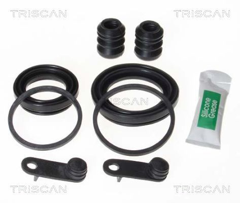 Zestaw naprawczy, zacisk hamulca TRISCAN 8170 204848