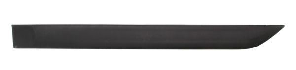 Ehis-/kaitseliist,Poritiib