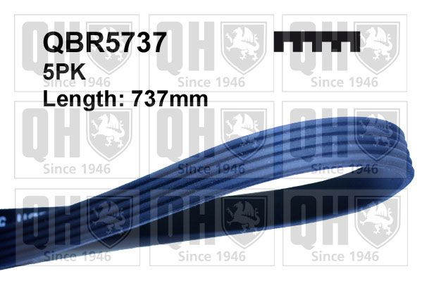 Pasek klinowy wielorowkowy QUINTON HAZELL QBR5737