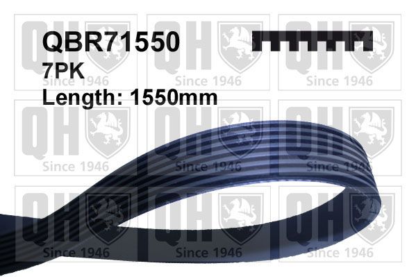 Pasek klinowy wielorowkowy QUINTON HAZELL QBR71550