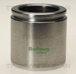 Tłoczek, zacisk hamulca TRISCAN 8170 234846