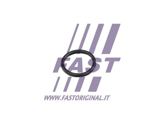 Uszczelnienie, kołnierz przewodu cieczy chłodzącej FAST FT49856