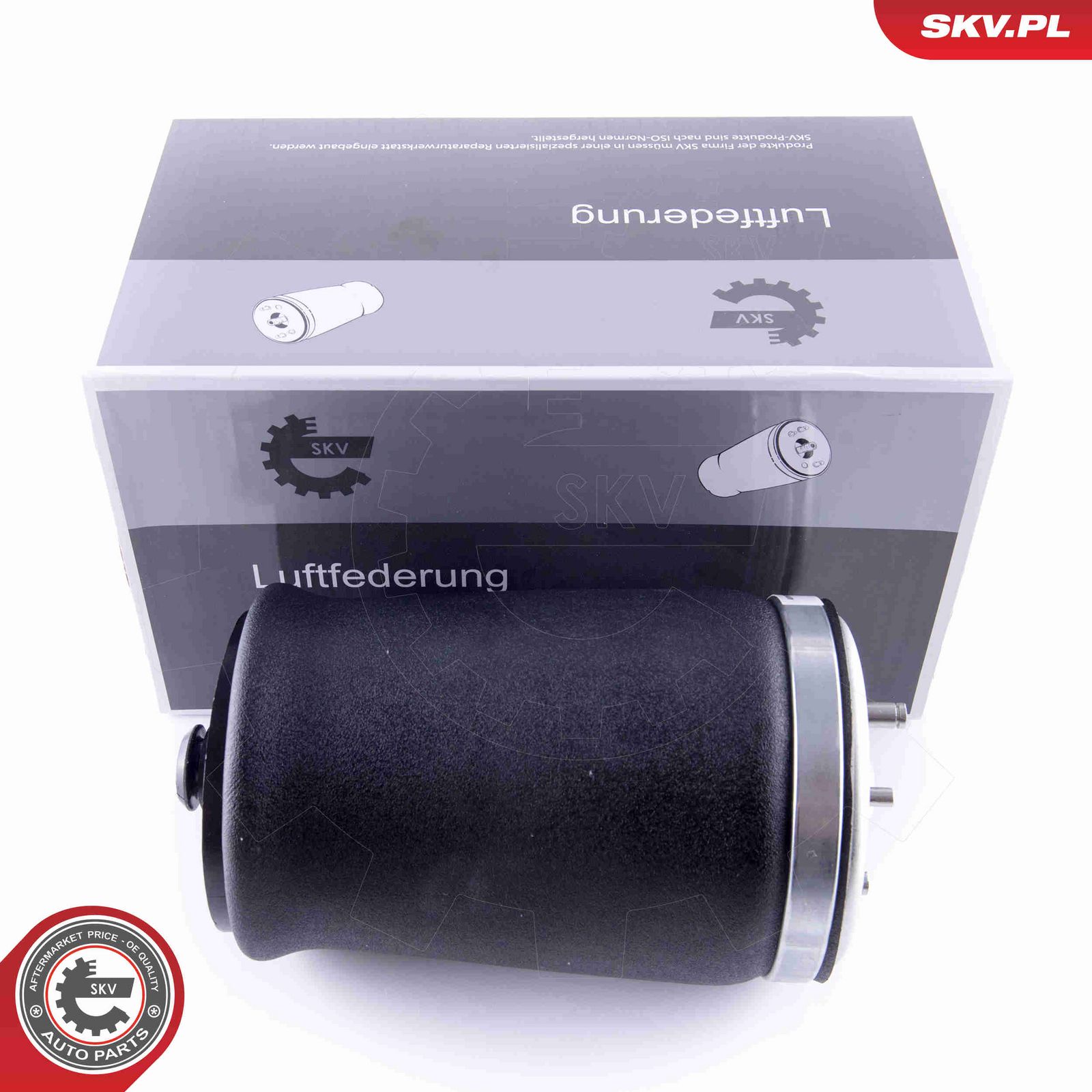 Pneimoatspere, Balstiekārta