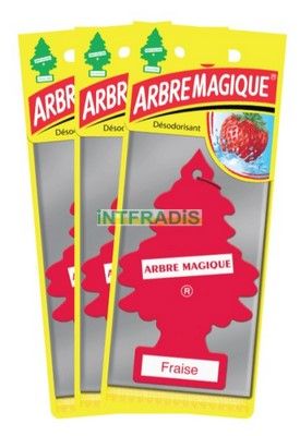 Spray de désinfection pour habitacle/nettoyant
