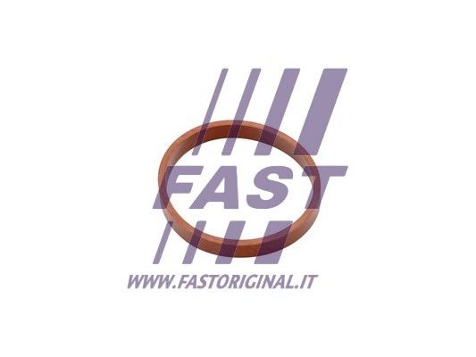 Uszczelka, kolektor dolotowy FAST FT49418