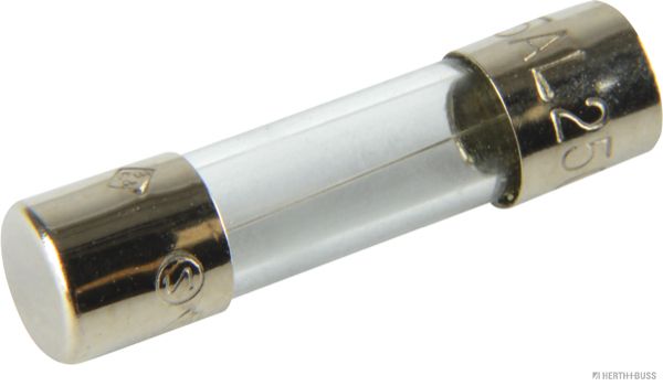 Pojistka HERTH+BUSS ELPARTS 50295005