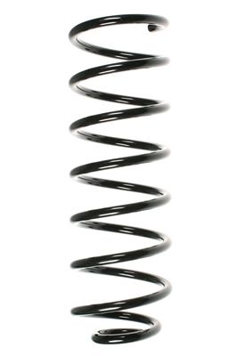 Arc spiral SPIDAN 48539