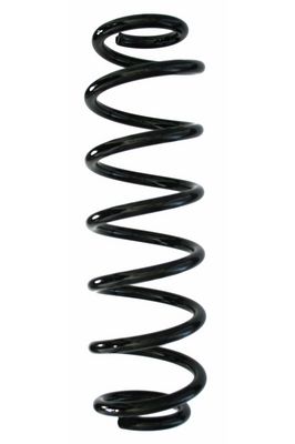 Arc spiral SPIDAN 87837