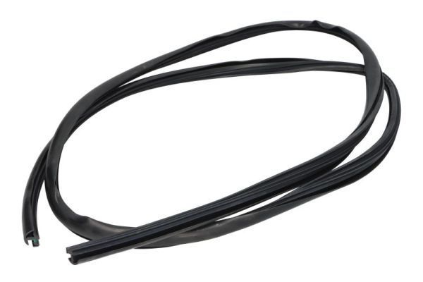 Elemente decorative/protectie, parbriz BLIC 5703-04-6037063Q