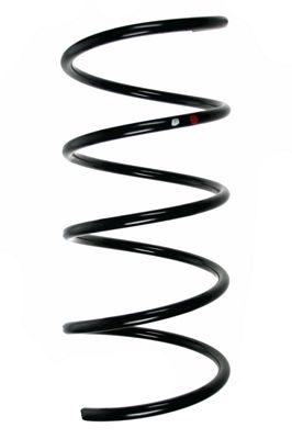 Arc spiral SPIDAN 85196