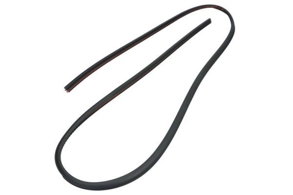 Garnitura, parbriz BLIC 5703-04-6037486Q