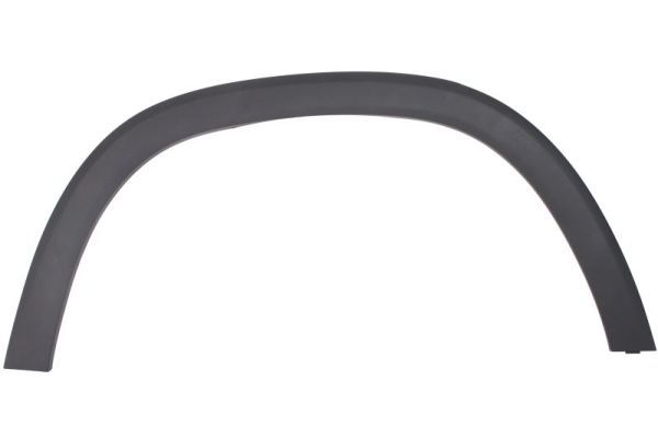 Ehis-/kaitseliist,Poritiib