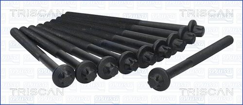 Zestaw śrub głowicy cylindrów TRISCAN 98-6011