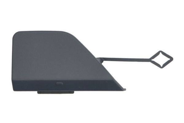 acoperire tampon,sistem de remorcare BLIC 5513-00-0070971P