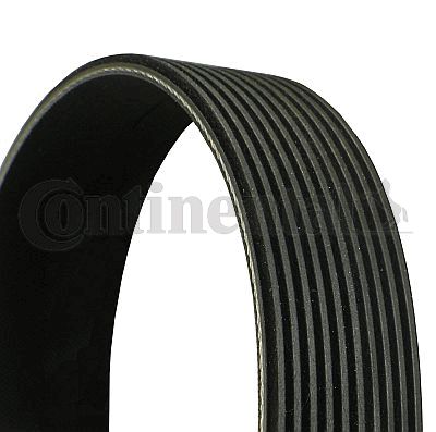 Pasek klinowy wielorowkowy CONTINENTAL CTAM 10PK1494