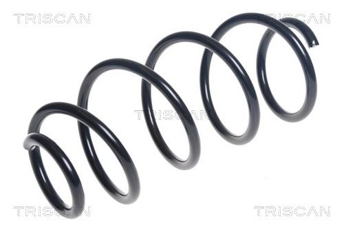 Arc spiral TRISCAN 8750 29514