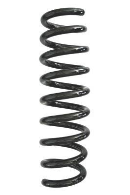 Arc spiral SPIDAN 87932