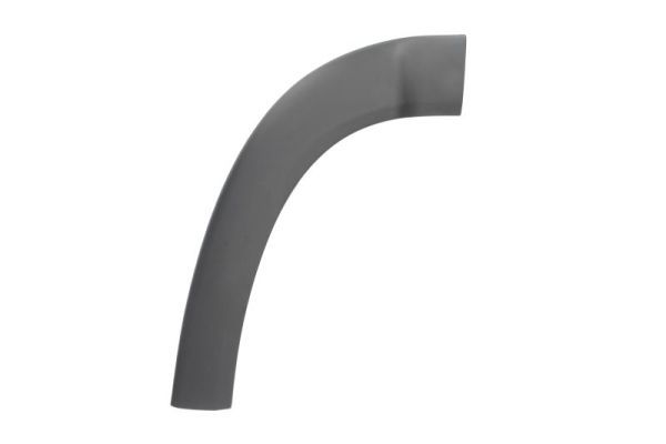 Ehis-/kaitseliist,Poritiib