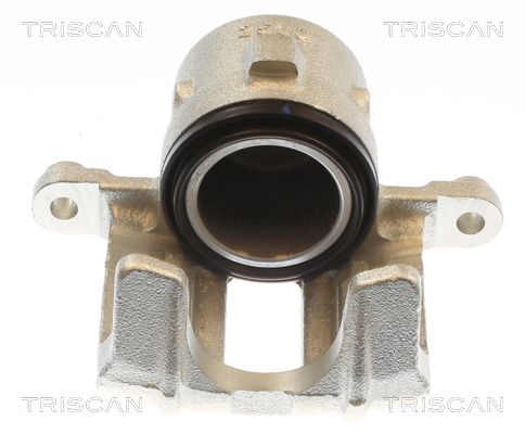 Etrier frana TRISCAN 8175 69103