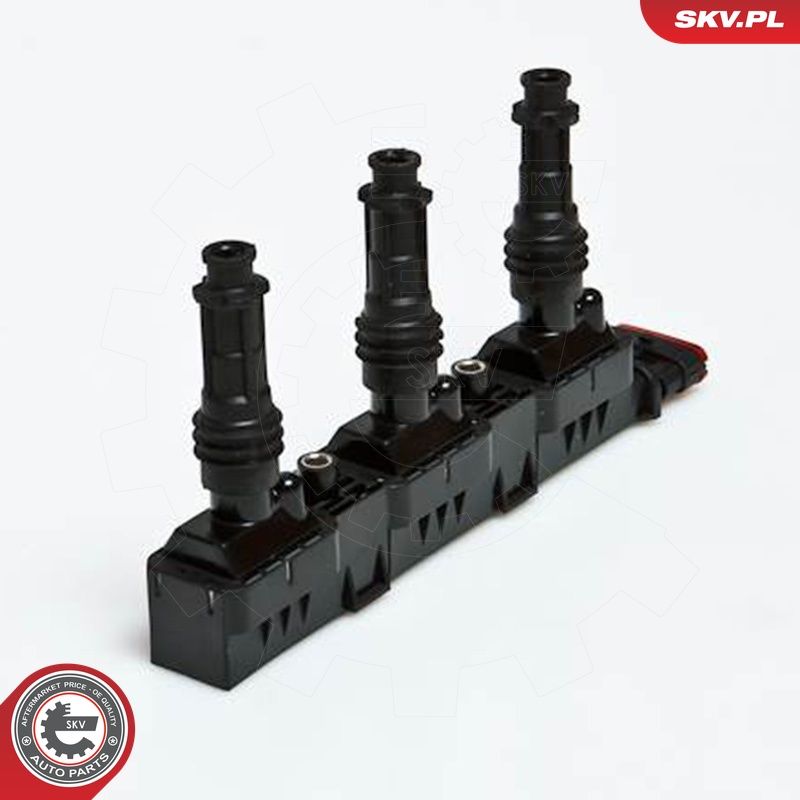 Levně Zapalovací cívka ESEN SKV 03SKV125