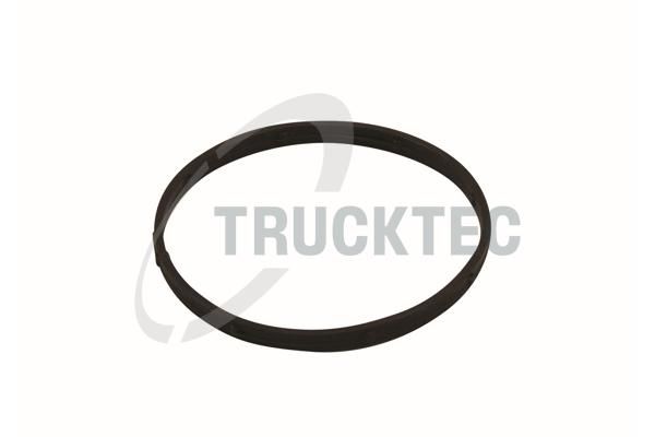 Blīve, Ieplūdes kolektora korpuss