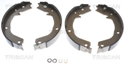 Zestaw szczęk hamulcowych, hamulec postojowy TRISCAN 8100 42019