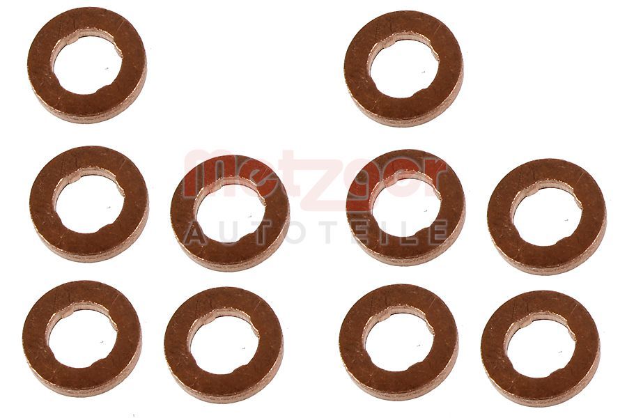 Kaitseseib,sissepritsesüsteem