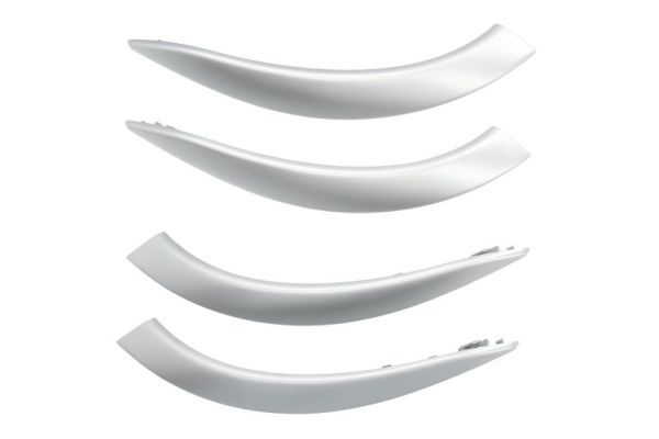 Mâner usa, echipare interioara BLIC 8800-00-1950281PP