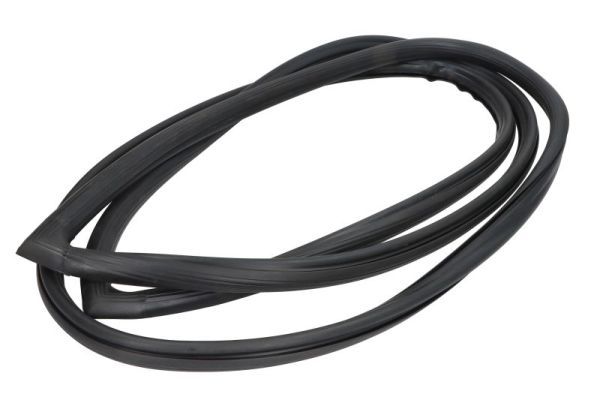 Garnitura, parbriz BLIC 5703-04-6037387Q