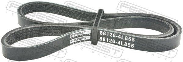 Pasek klinowy wielorowkowy FEBEST 88126-4L855