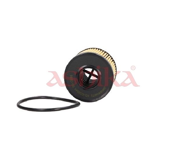ASHIKA 10ECO044