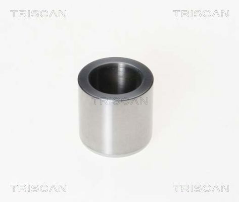 Tłoczek, zacisk hamulca TRISCAN 8170 233005