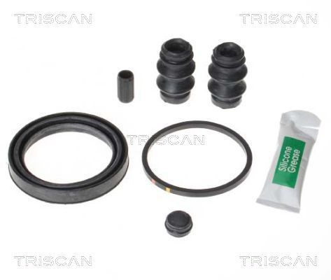 Zestaw naprawczy, zacisk hamulca TRISCAN 8170 205490