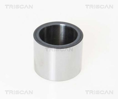 Tłoczek, zacisk hamulca TRISCAN 8170 231582