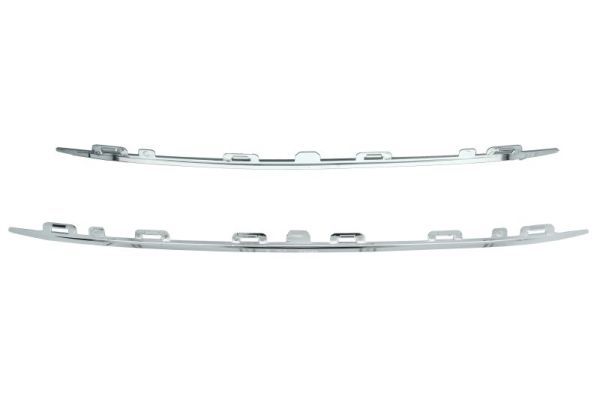 Banda de protectie, grila radiator BLIC 6502-07-5519994P