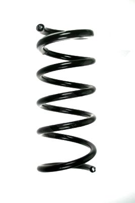 Arc spiral SPIDAN 55615