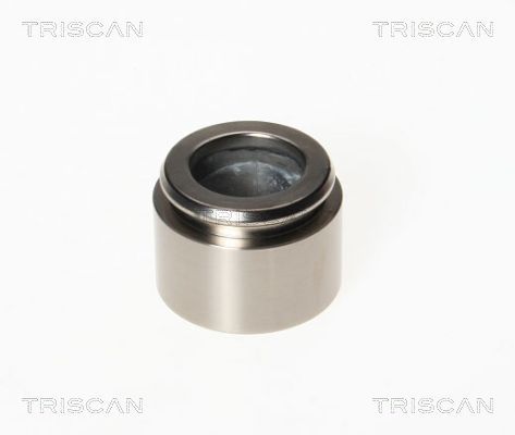 Tłoczek, zacisk hamulca TRISCAN 8170 234043