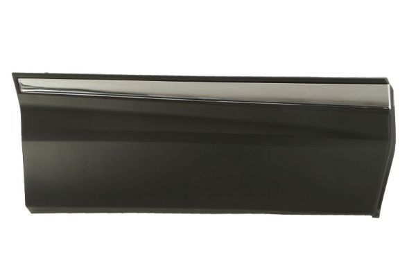 Elemente decorative/protectie, aripa BLIC 5703-04-2951574P