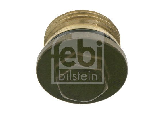 surub,capac protector FEBI BILSTEIN 22529