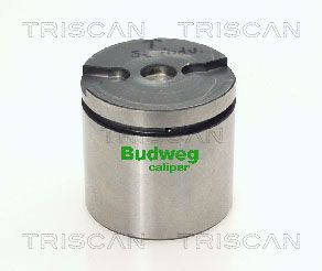 Tłoczek, zacisk hamulca TRISCAN 8170 235473