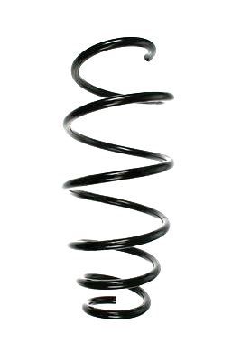 Arc spiral SPIDAN 85984